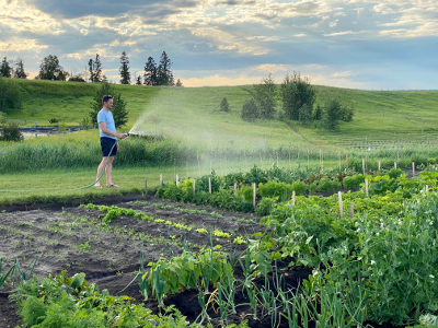 Watering garden